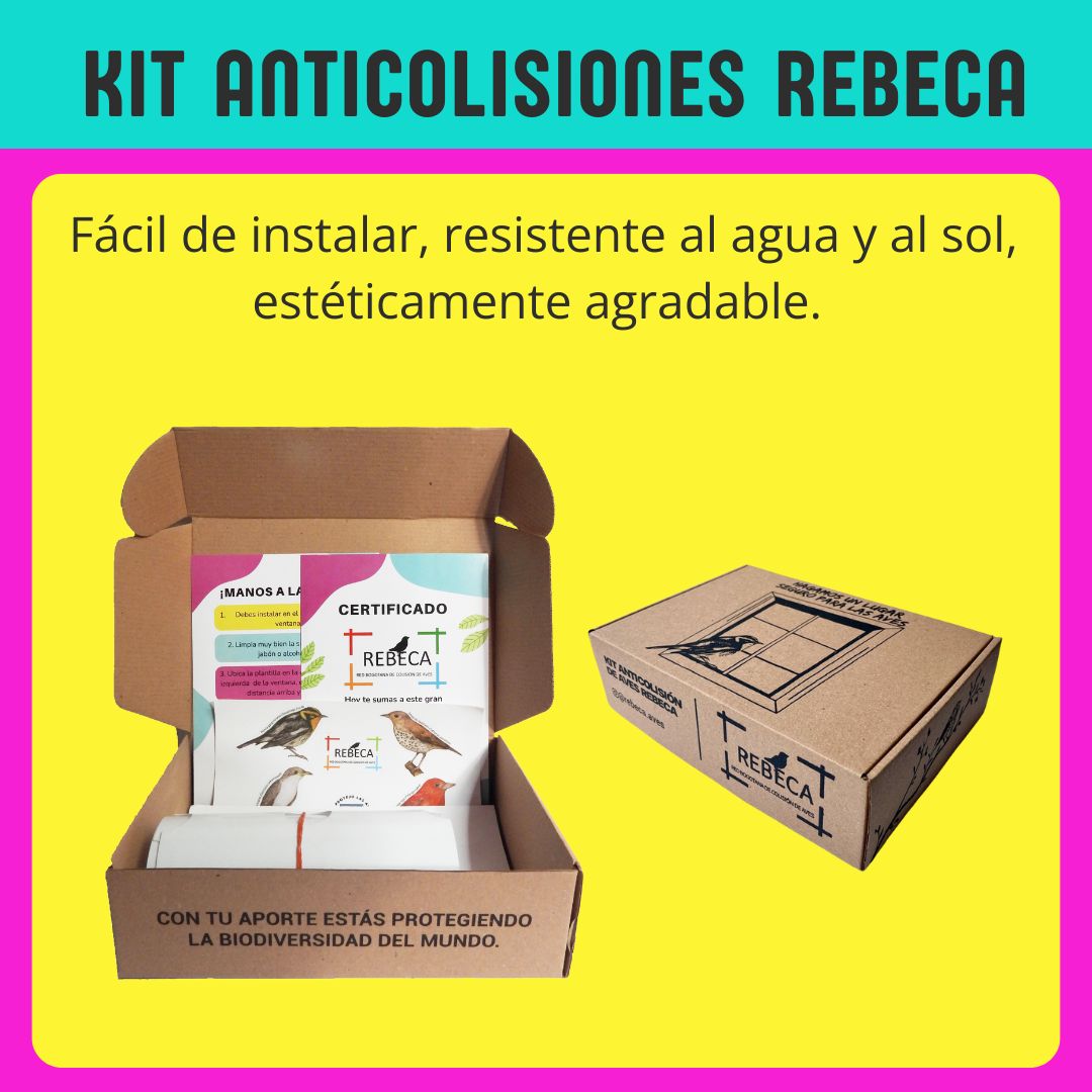 Adquiere nuestro kit