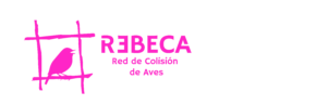 rebeca-aves.com