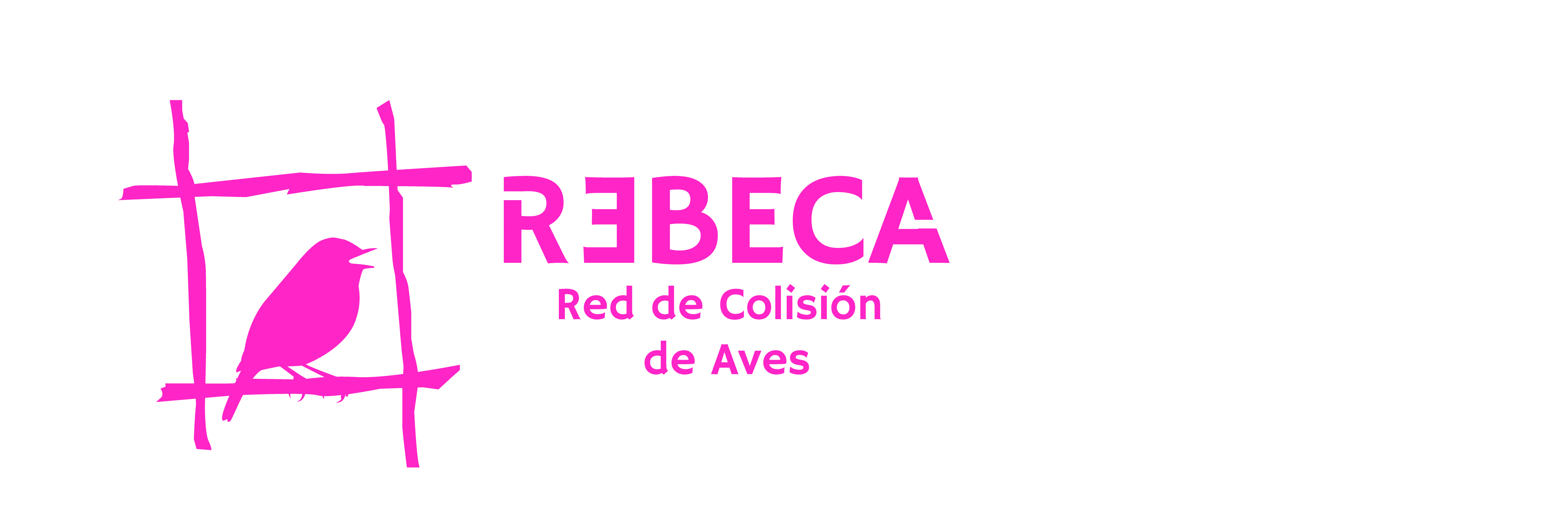 rebeca-aves.com