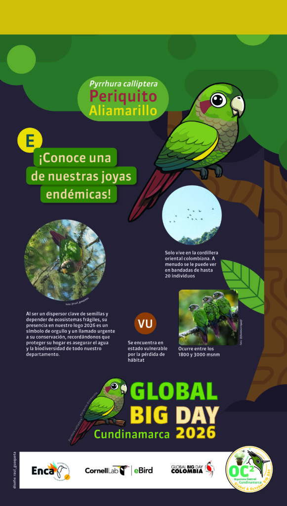 Póster Global BIG day Cundinamarca 2026