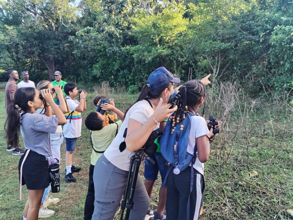 Salida de observación de aves con niños