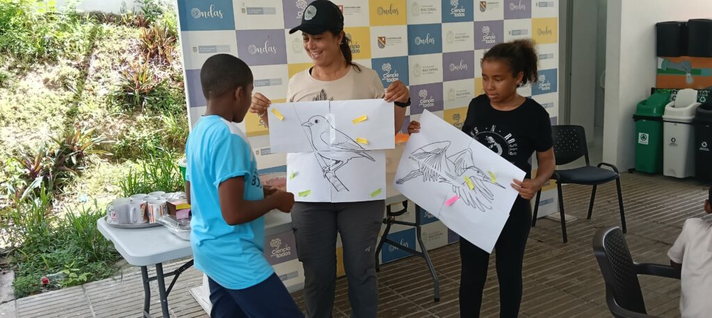 Taller de identificación de aves